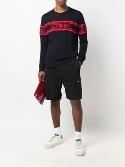 Iceberg pull à logo